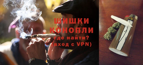 ПСИЛОЦИБИНОВЫЕ ГРИБЫ Переславль-Залесский
