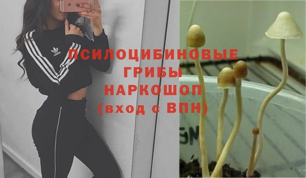 ALPHA PVP Пересвет