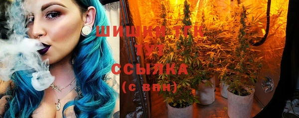 круглые Аркадак